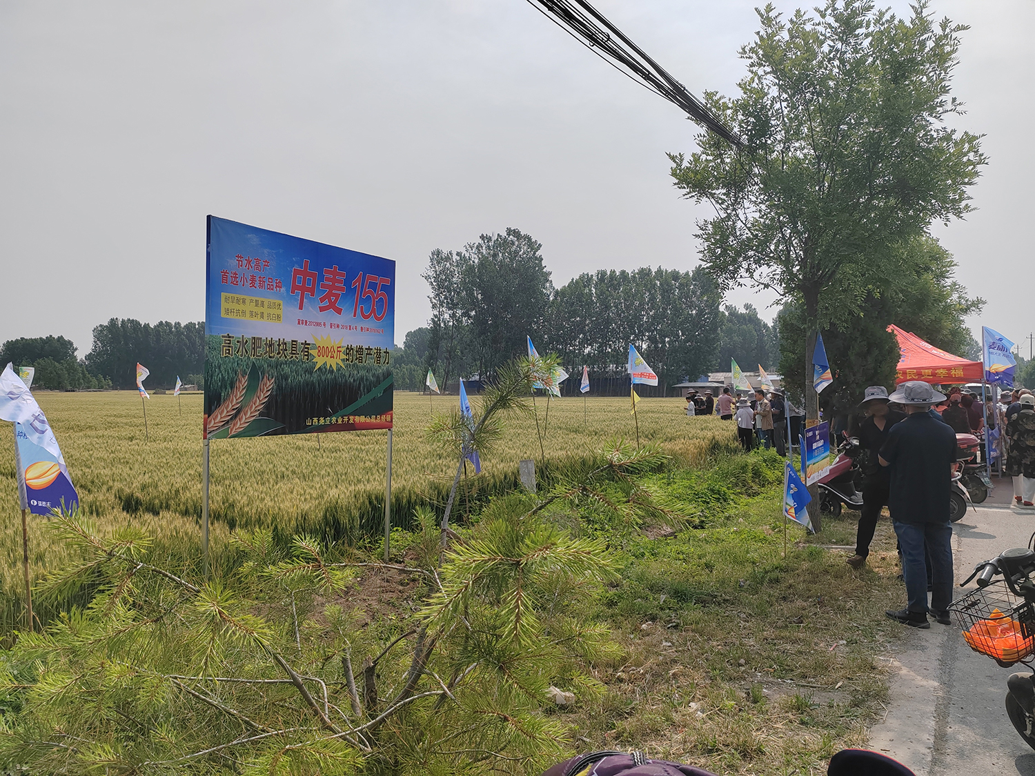 1753172084108768.jpg 微信圖片_20250722134531_5.jpg